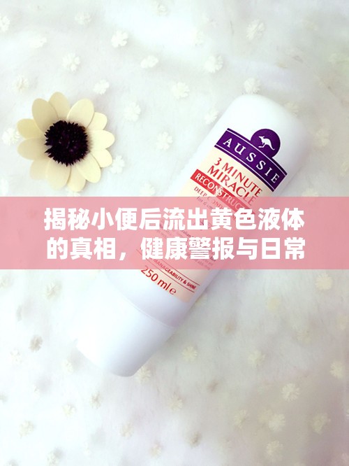 揭秘小便后流出黃色液體的真相，健康警報(bào)與日常護(hù)理指南