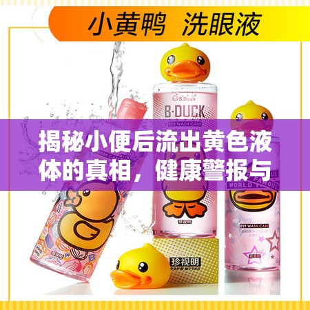 揭秘小便后流出黃色液體的真相，健康警報(bào)與日常護(hù)理指南