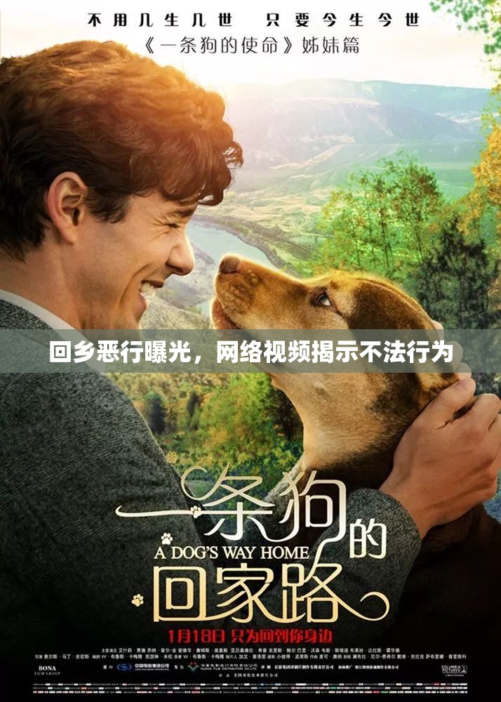 回鄉(xiāng)惡行曝光，網(wǎng)絡(luò)視頻揭示不法行為