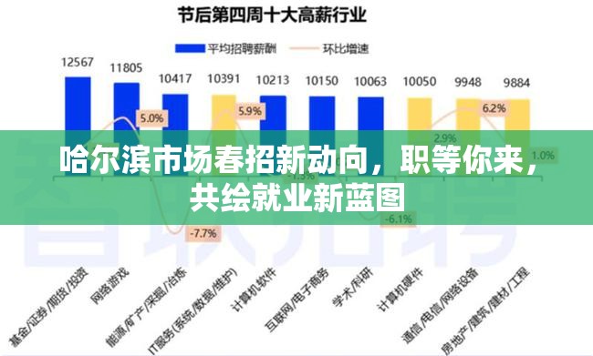 哈爾濱市場春招新動向，職等你來，共繪就業(yè)新藍(lán)圖