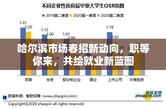 哈爾濱市場春招新動向，職等你來，共繪就業(yè)新藍(lán)圖