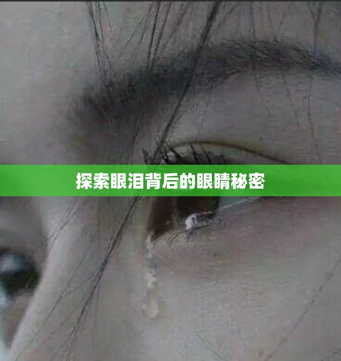 探索眼淚背后的眼睛秘密