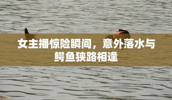 女主播驚險(xiǎn)瞬間，意外落水與鱷魚狹路相逢