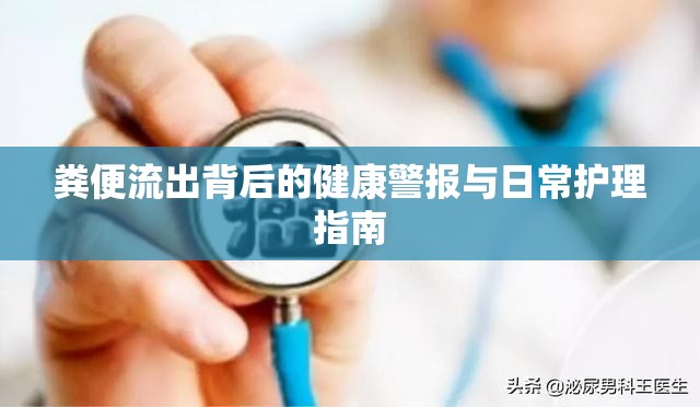 糞便流出背后的健康警報(bào)與日常護(hù)理指南