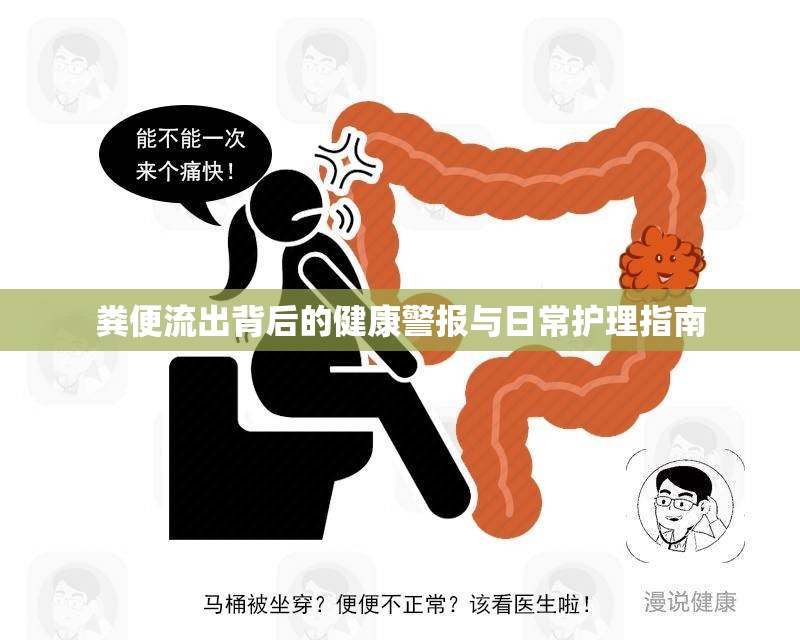糞便流出背后的健康警報(bào)與日常護(hù)理指南