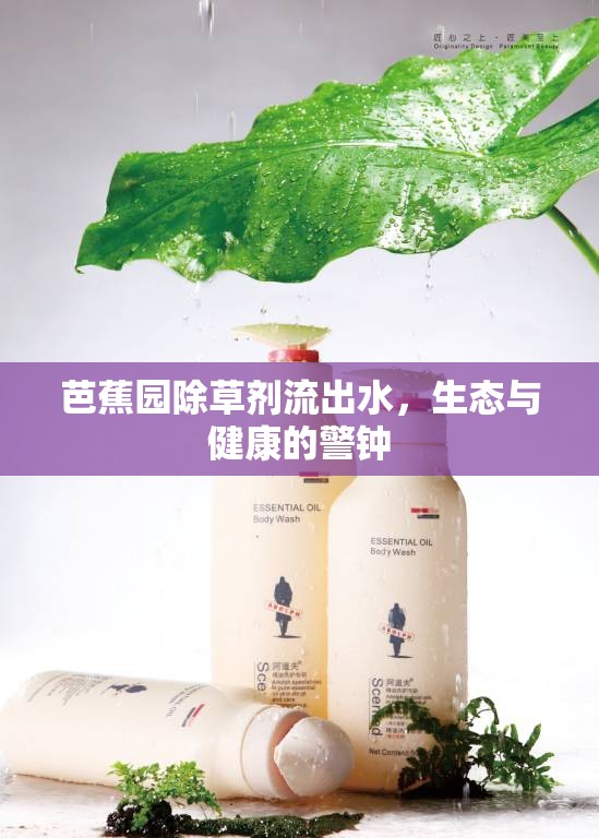 芭蕉園除草劑流出水，生態(tài)與健康的警鐘