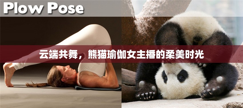 云端共舞，熊貓瑜伽女主播的柔美時(shí)光