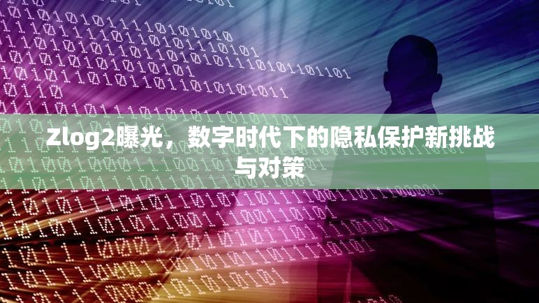 Zlog2曝光，數字時代下的隱私保護新挑戰(zhàn)與對策