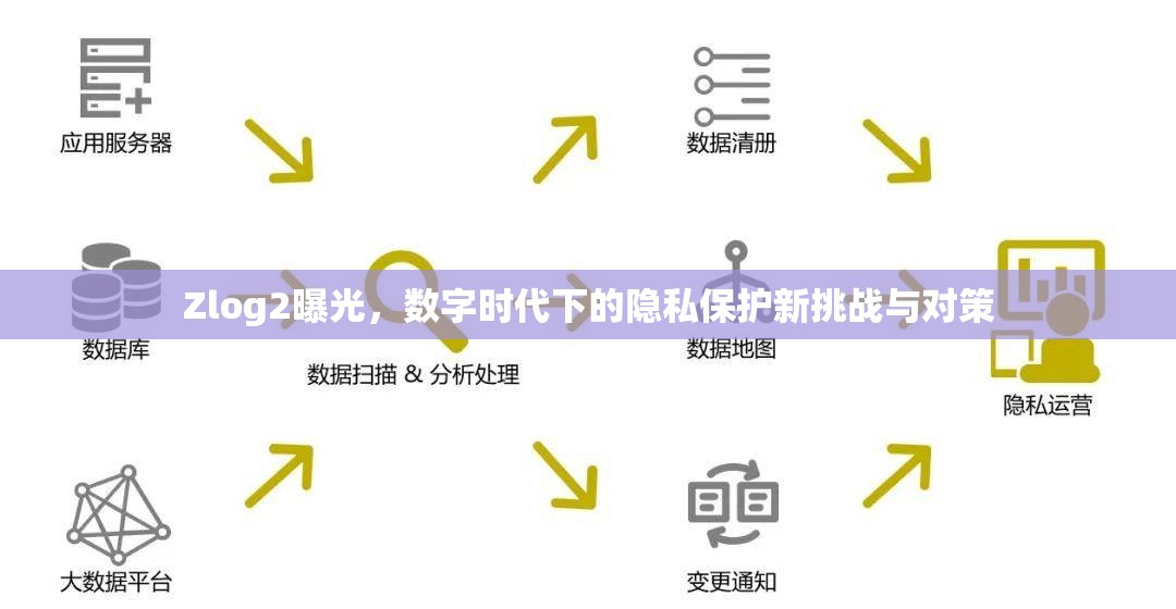 Zlog2曝光，數字時代下的隱私保護新挑戰(zhàn)與對策