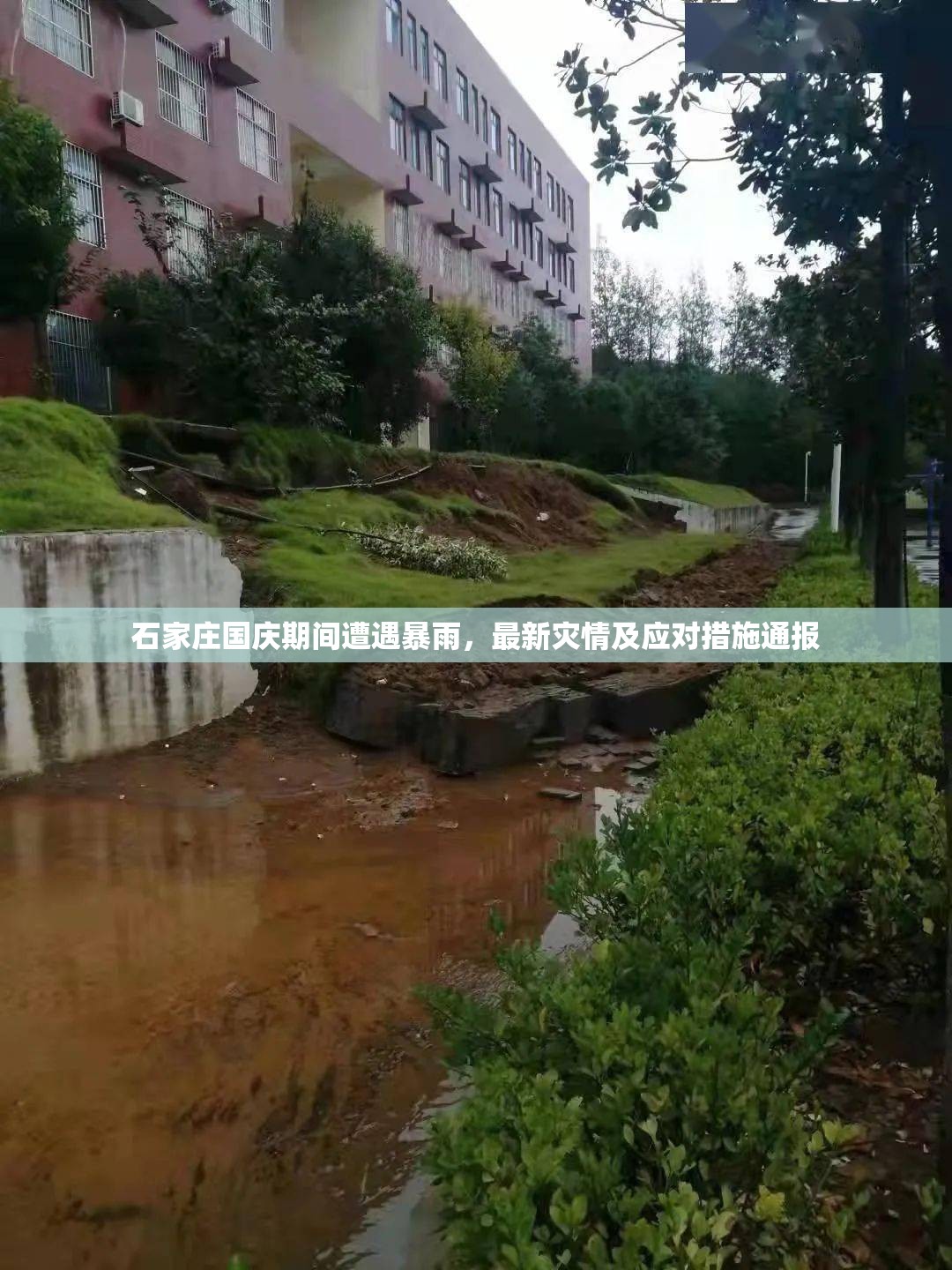 石家莊國慶期間遭遇暴雨，最新災(zāi)情及應(yīng)對措施通報