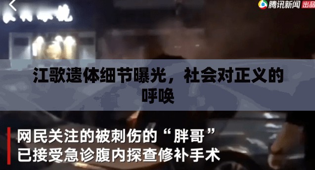 江歌遺體細節(jié)曝光，社會對正義的呼喚