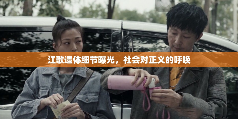 江歌遺體細節(jié)曝光，社會對正義的呼喚
