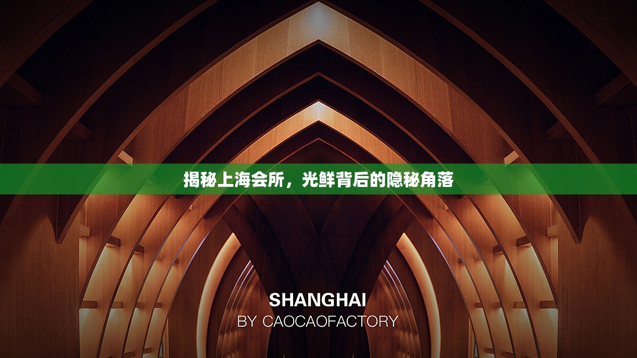 揭秘上海會(huì)所，光鮮背后的隱秘角落