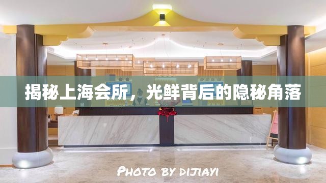 揭秘上海會(huì)所，光鮮背后的隱秘角落
