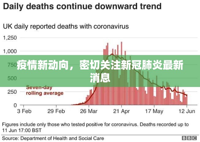 疫情新動向，密切關注新冠肺炎最新消息