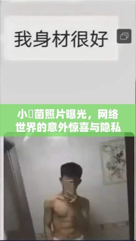 小囧菌照片曝光，網(wǎng)絡(luò)世界的意外驚喜與隱私邊界的探討