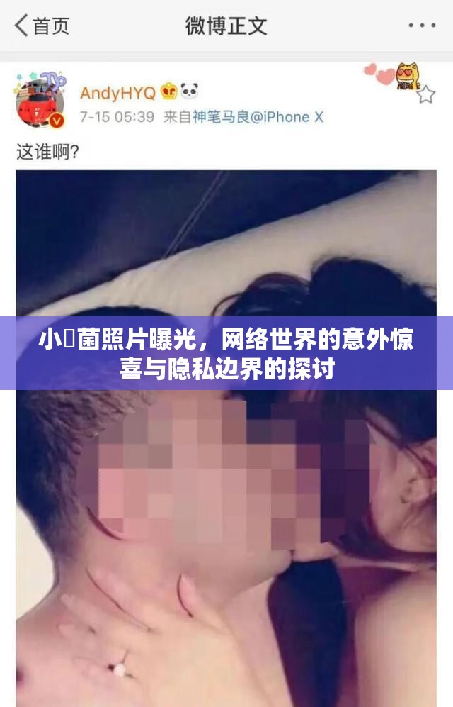 小囧菌照片曝光，網(wǎng)絡(luò)世界的意外驚喜與隱私邊界的探討