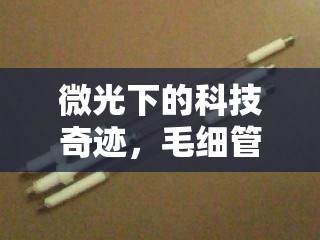 微光下的科技奇跡，毛細(xì)管曝光燈的獨特魅力
