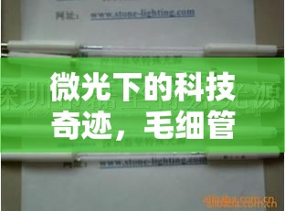 微光下的科技奇跡，毛細(xì)管曝光燈的獨特魅力