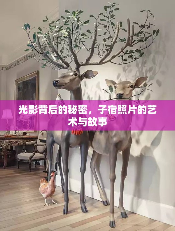 光影背后的秘密，子宿照片的藝術(shù)與故事