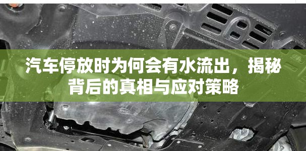 汽車停放時(shí)為何會(huì)有水流出，揭秘背后的真相與應(yīng)對(duì)策略
