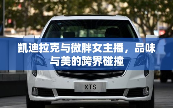 凱迪拉克與微胖女主播，品味與美的跨界碰撞