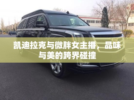 凱迪拉克與微胖女主播，品味與美的跨界碰撞