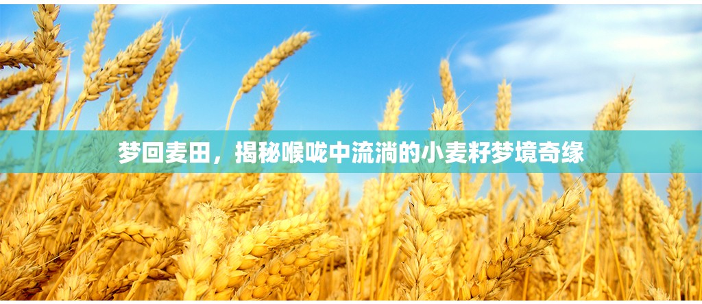 夢回麥田，揭秘喉嚨中流淌的小麥籽夢境奇緣