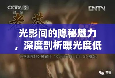 光影間的隱秘魅力，深度剖析曝光度低的獨(dú)特價(jià)值
