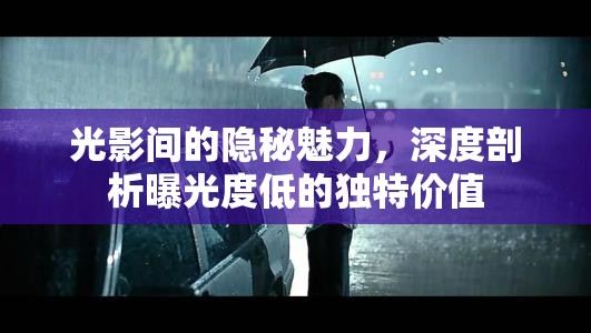 光影間的隱秘魅力，深度剖析曝光度低的獨(dú)特價(jià)值