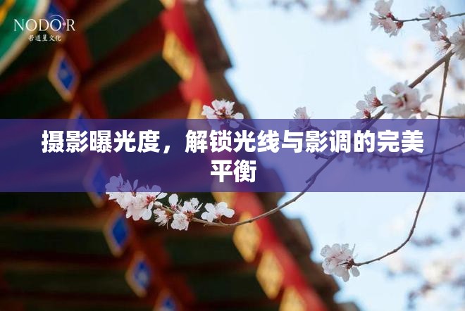 攝影曝光度，解鎖光線與影調(diào)的完美平衡