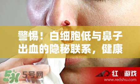 警惕！白細(xì)胞低與鼻子出血的隱秘聯(lián)系，健康警報(bào)與應(yīng)對(duì)策略