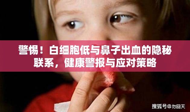 警惕！白細(xì)胞低與鼻子出血的隱秘聯(lián)系，健康警報(bào)與應(yīng)對(duì)策略