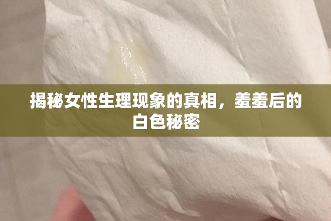揭秘女性生理現(xiàn)象的真相，羞羞后的白色秘密