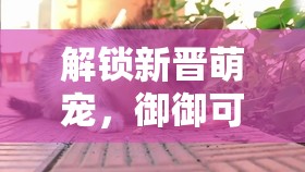 解鎖新晉萌寵，御御可愛照片萌動全網(wǎng)，甜蜜暴擊來襲