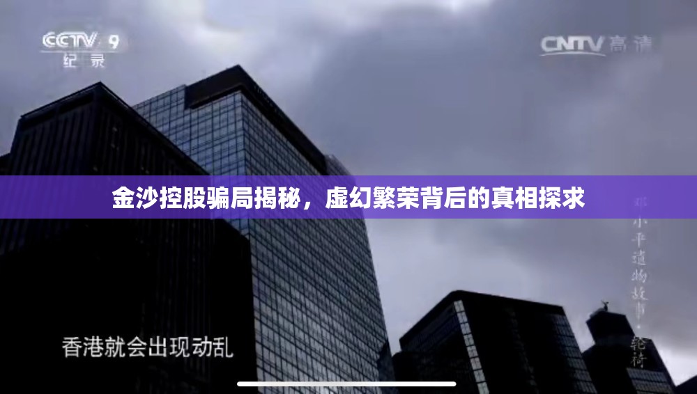 金沙控股騙局揭秘，虛幻繁榮背后的真相探求