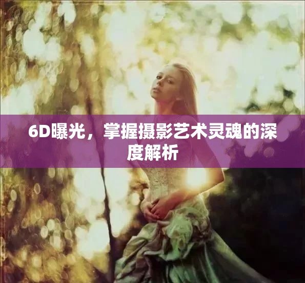 6D曝光，掌握攝影藝術(shù)靈魂的深度解析