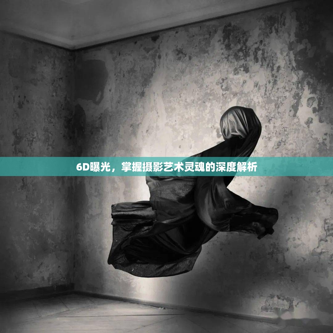 6D曝光，掌握攝影藝術(shù)靈魂的深度解析