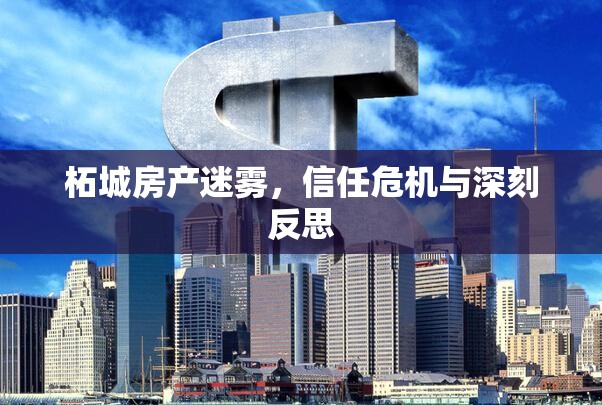 柘城房產(chǎn)迷霧，信任危機與深刻反思