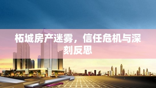 柘城房產(chǎn)迷霧，信任危機與深刻反思