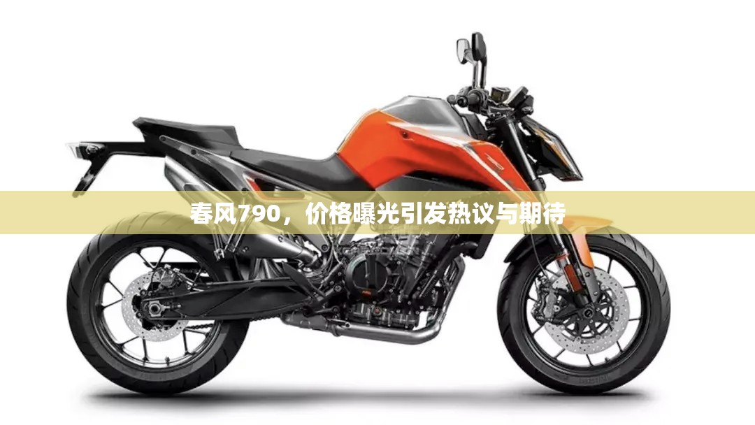 春風(fēng)790，價(jià)格曝光引發(fā)熱議與期待