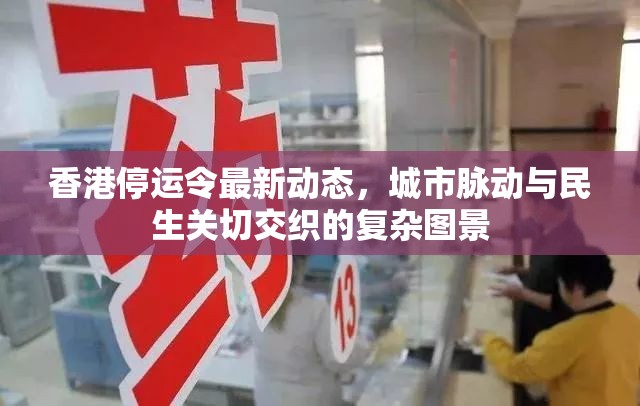 香港停運(yùn)令最新動(dòng)態(tài)，城市脈動(dòng)與民生關(guān)切交織的復(fù)雜圖景
