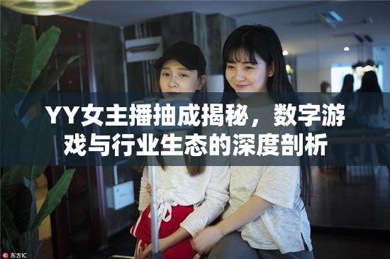 YY女主播抽成揭秘，數(shù)字游戲與行業(yè)生態(tài)的深度剖析