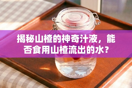 揭秘山楂的神奇汁液，能否食用山楂流出的水？