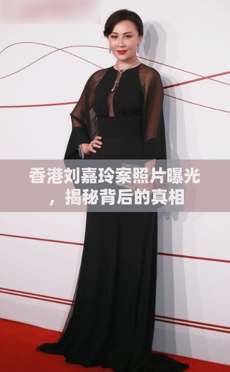 香港劉嘉玲案照片曝光，揭秘背后的真相