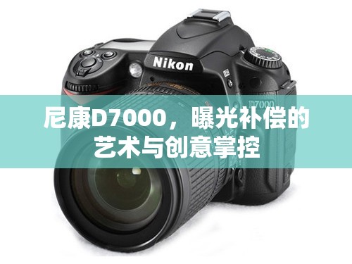 尼康D7000，曝光補(bǔ)償?shù)乃囆g(shù)與創(chuàng)意掌控