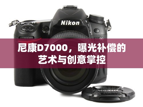 尼康D7000，曝光補(bǔ)償?shù)乃囆g(shù)與創(chuàng)意掌控