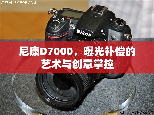 尼康D7000，曝光補(bǔ)償?shù)乃囆g(shù)與創(chuàng)意掌控