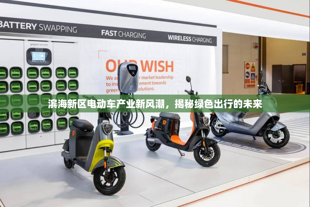 濱海新區(qū)電動(dòng)車產(chǎn)業(yè)新風(fēng)潮，揭秘綠色出行的未來