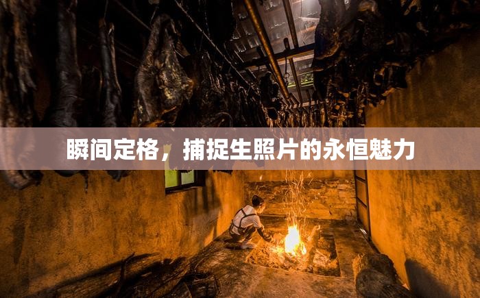 瞬間定格，捕捉生照片的永恒魅力